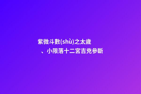 紫微斗數(shù)之太歲、小限落十二宮吉兇參斷